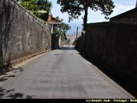 Portugal - Madere - Funchal - 027